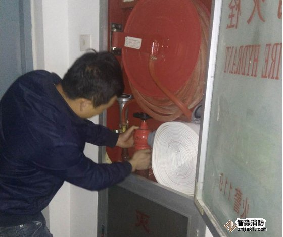 免费资料正版资料大全