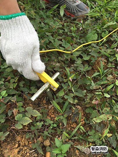 免费资料正版资料大全