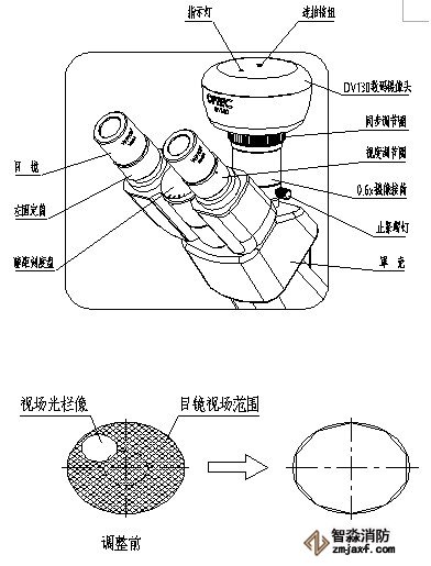 免费资料正版资料大全