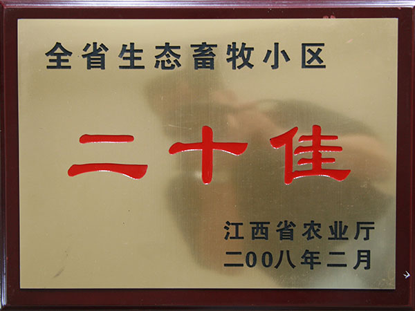 2024澳门原料网站